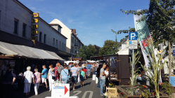 Apfelmarkt am Samstag 2016