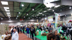 Dortmunder Herbst Halle 3B