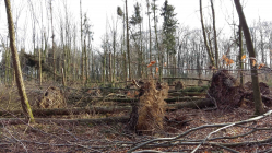Sturmschäden Iserlohn Rheinermark in Hennen