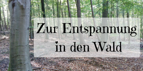 Waldspaziergang zur Entspannung